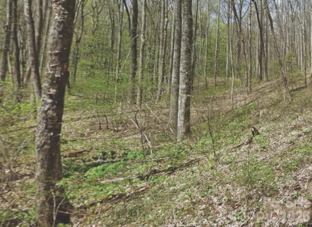 000 Heather Way, Waynesville, NC, 28786