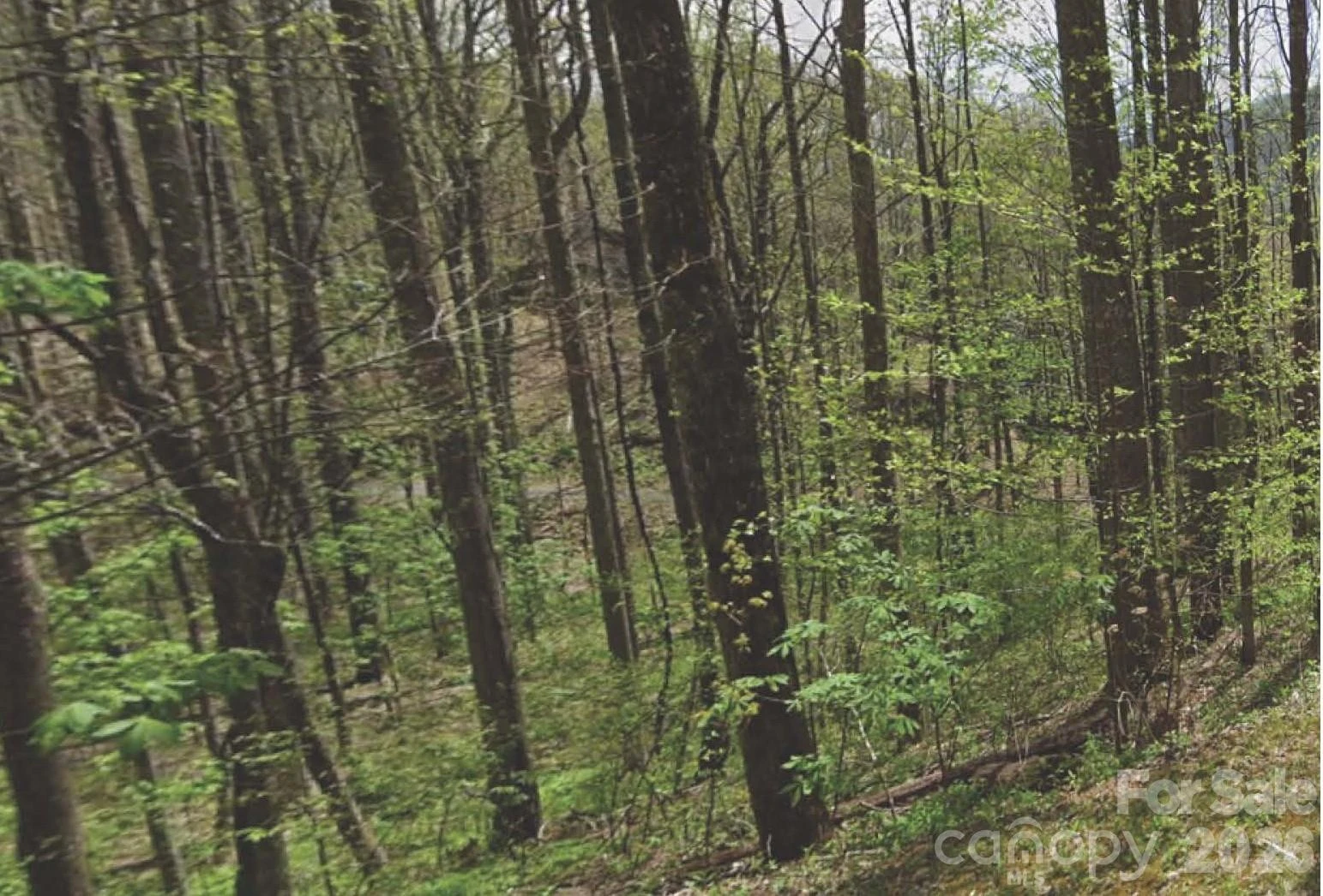 000 Heather Way - Photo 2