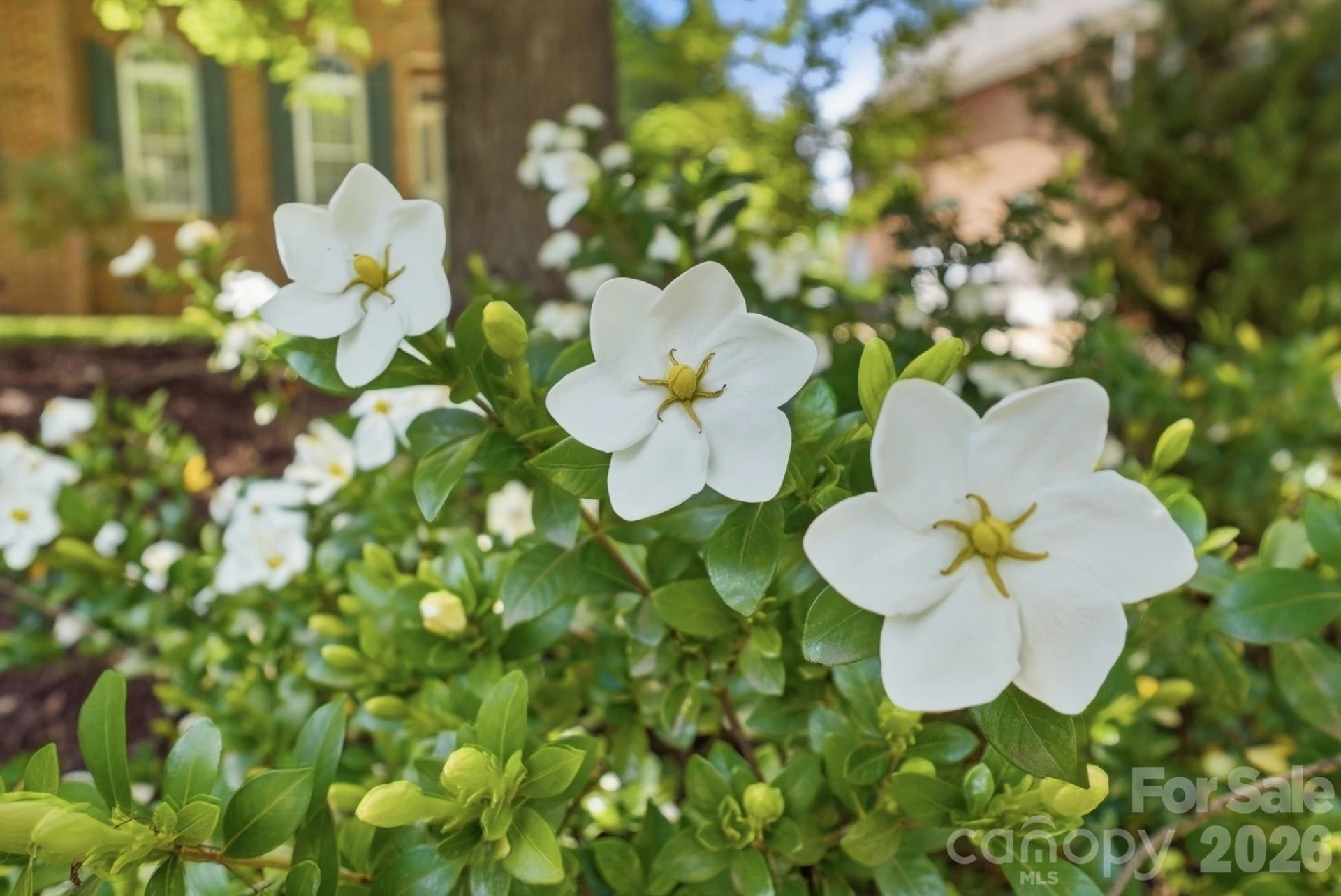 7126 Weddington Brook Drive - Photo 5