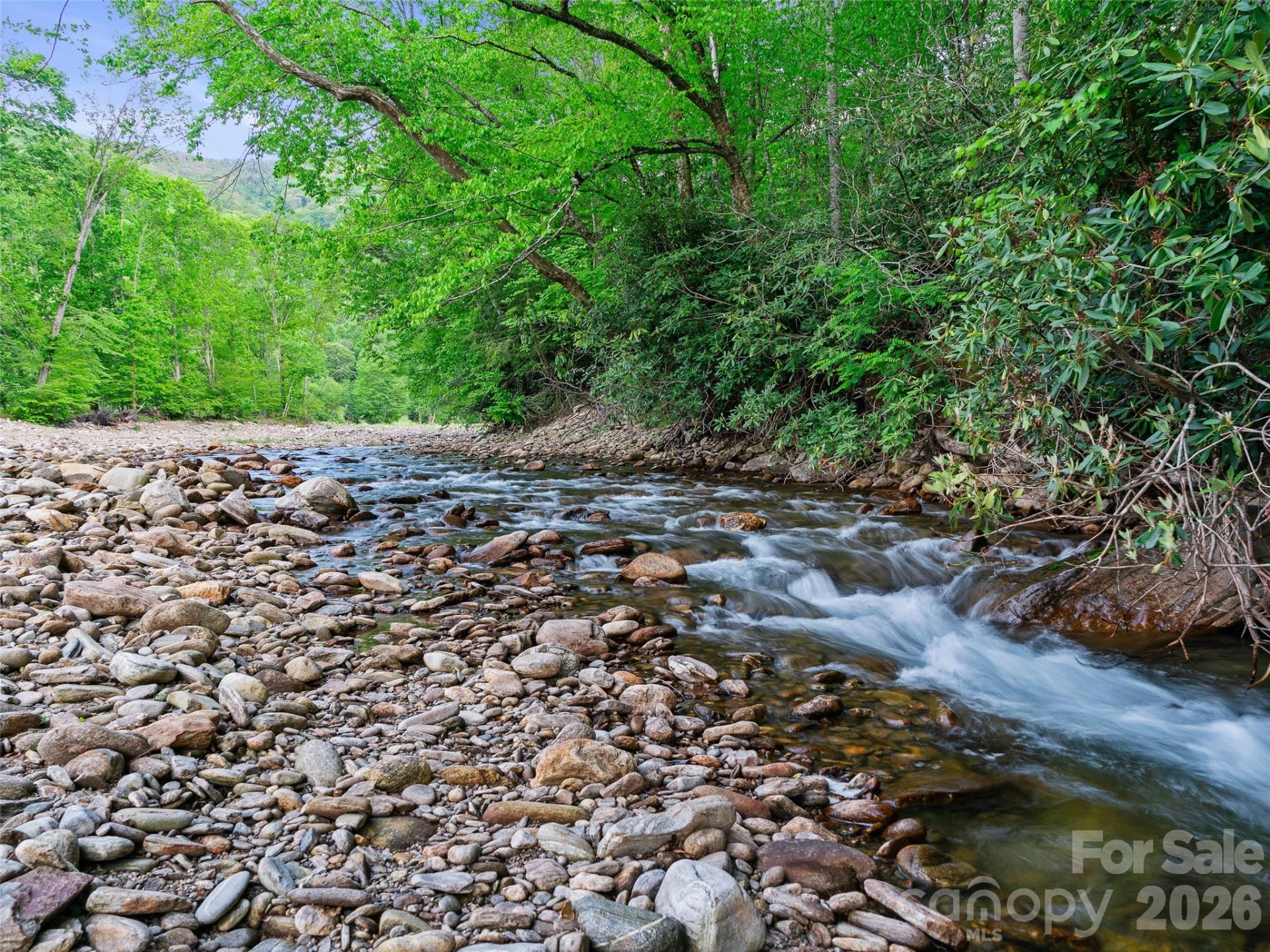 326 Ewart Wilson Road - Photo 36