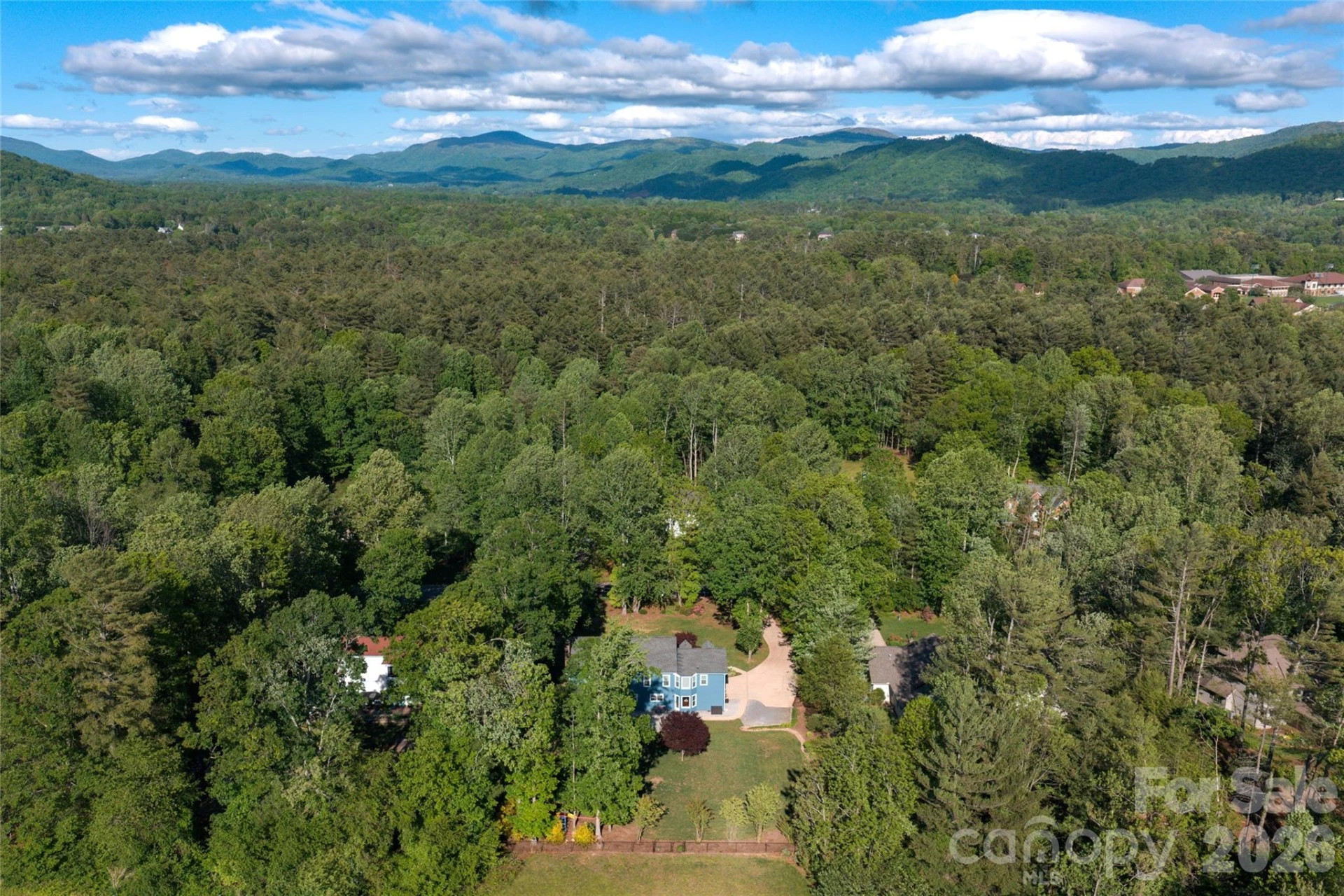 43 Tree Top Drive - Photo 6