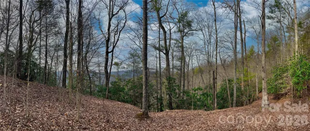 Lot 127 Bear River Lodge Trail, Marshall, NC, 28753