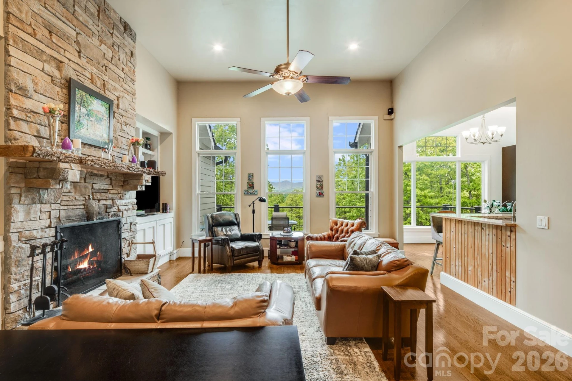 1659 High Rock Acres Drive - Photo 15