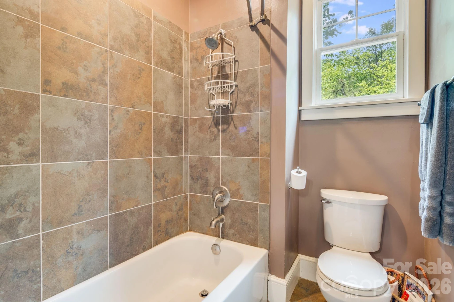 1659 High Rock Acres Drive - Photo 36