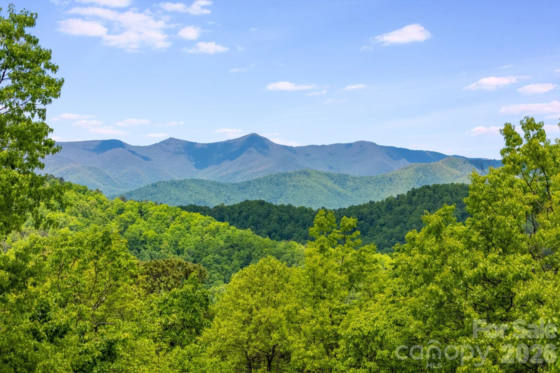 1659 High Rock Acres Drive - Photo 46