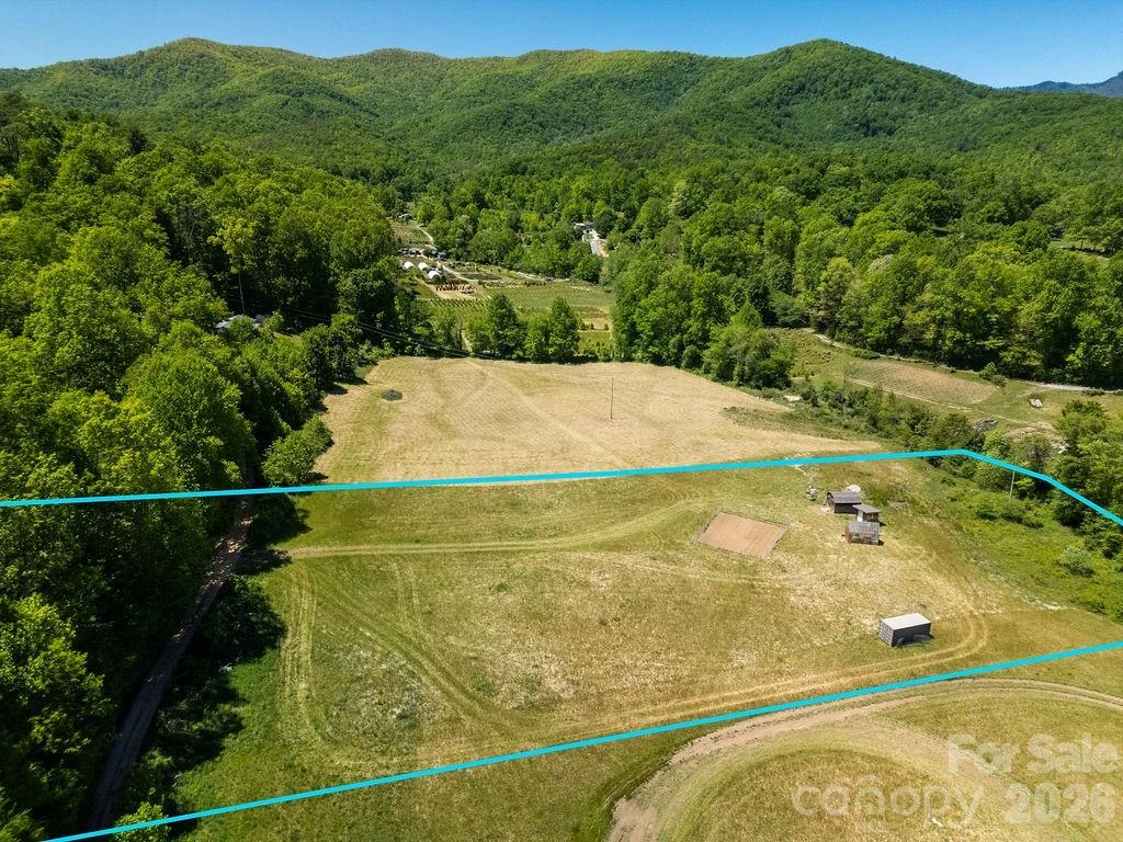 230 Harlow and Cricket Drive - Photo 4