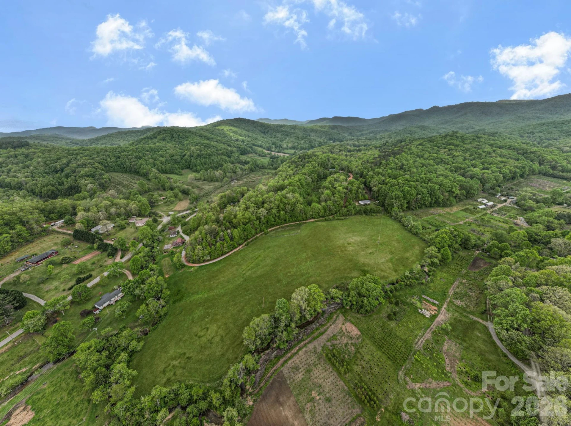 230 Harlow and Cricket Drive - Photo 8