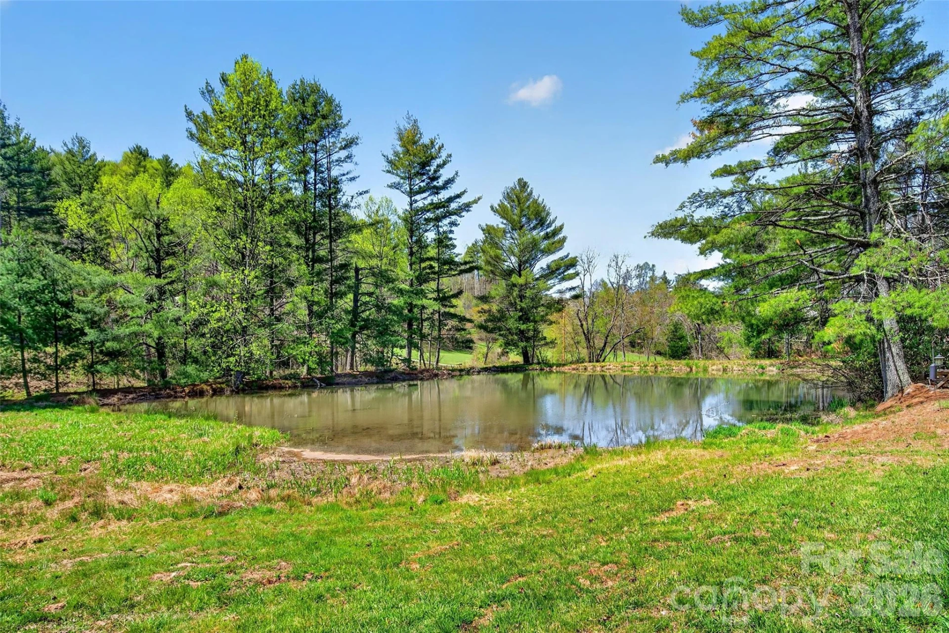 1959 Jackson Town Road #A - Photo 28