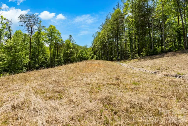 151 Riverbend Forest Drive, Asheville, NC, 28805