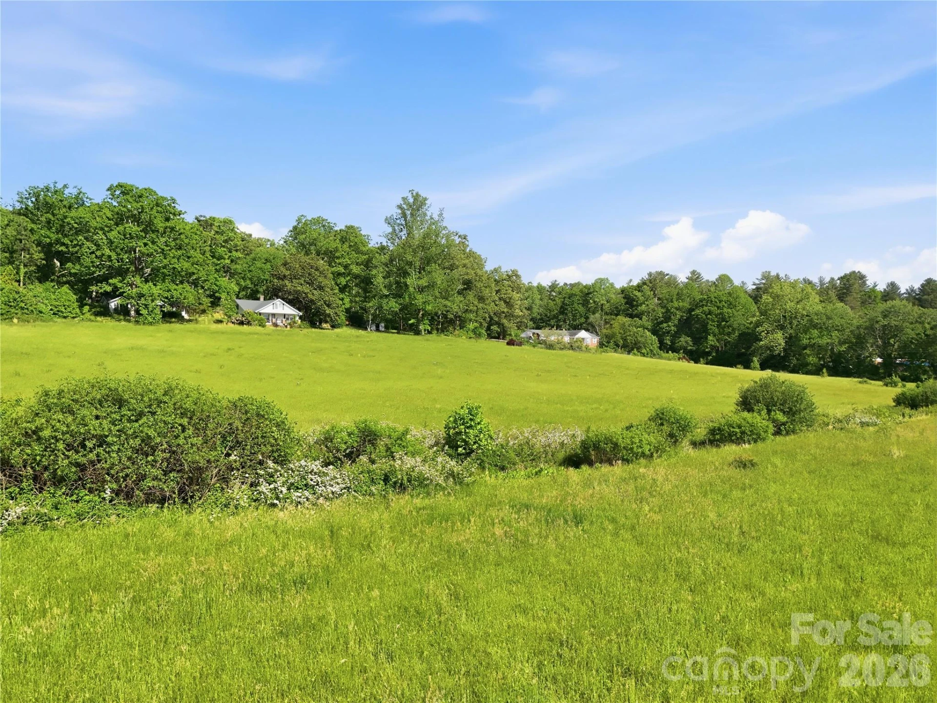 767 New Haw Creek Road - Photo 12
