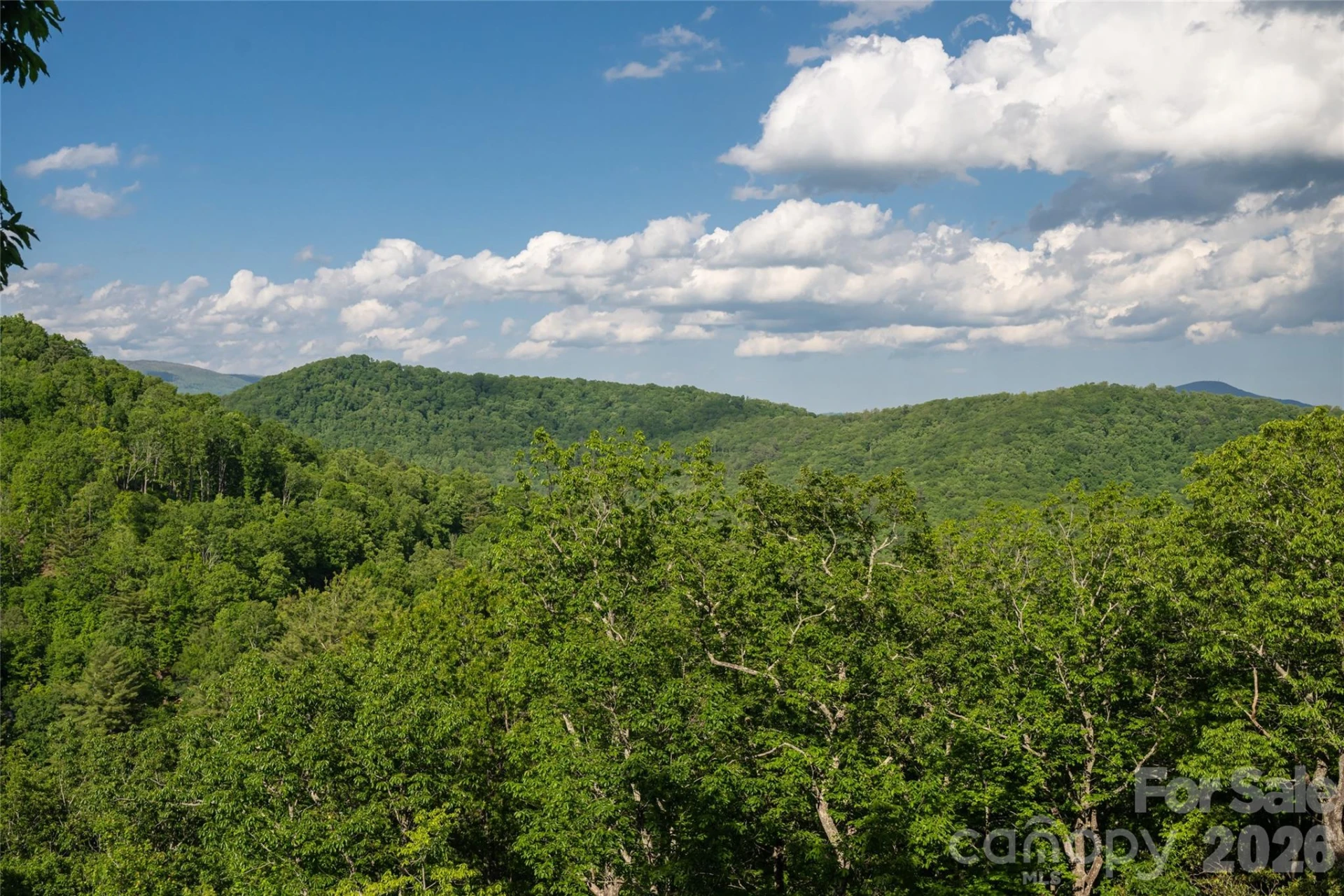 162 Merrills Chase Road - Photo 45