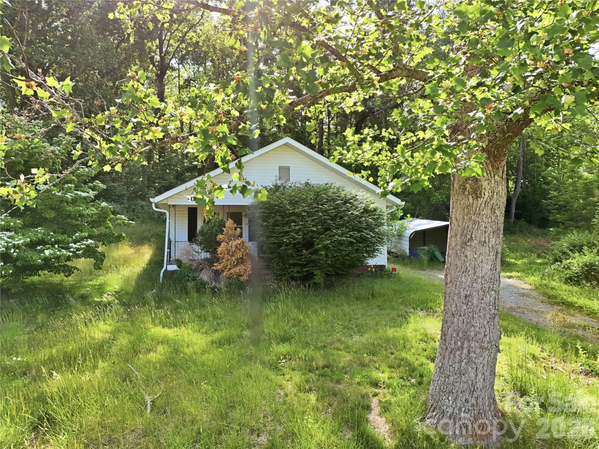 767 New Haw Creek Road - Photo 11