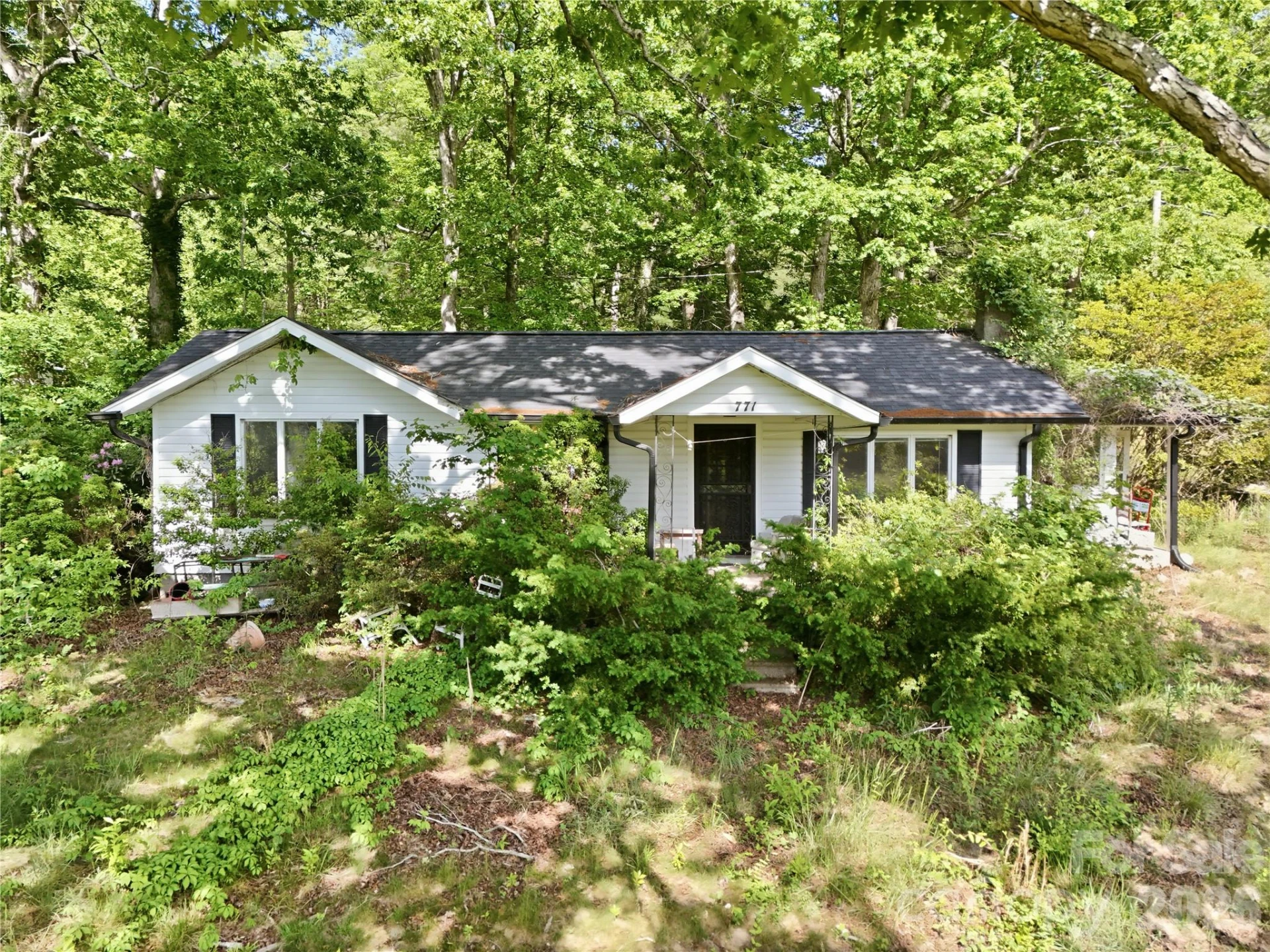 767 New Haw Creek Road - Photo 9