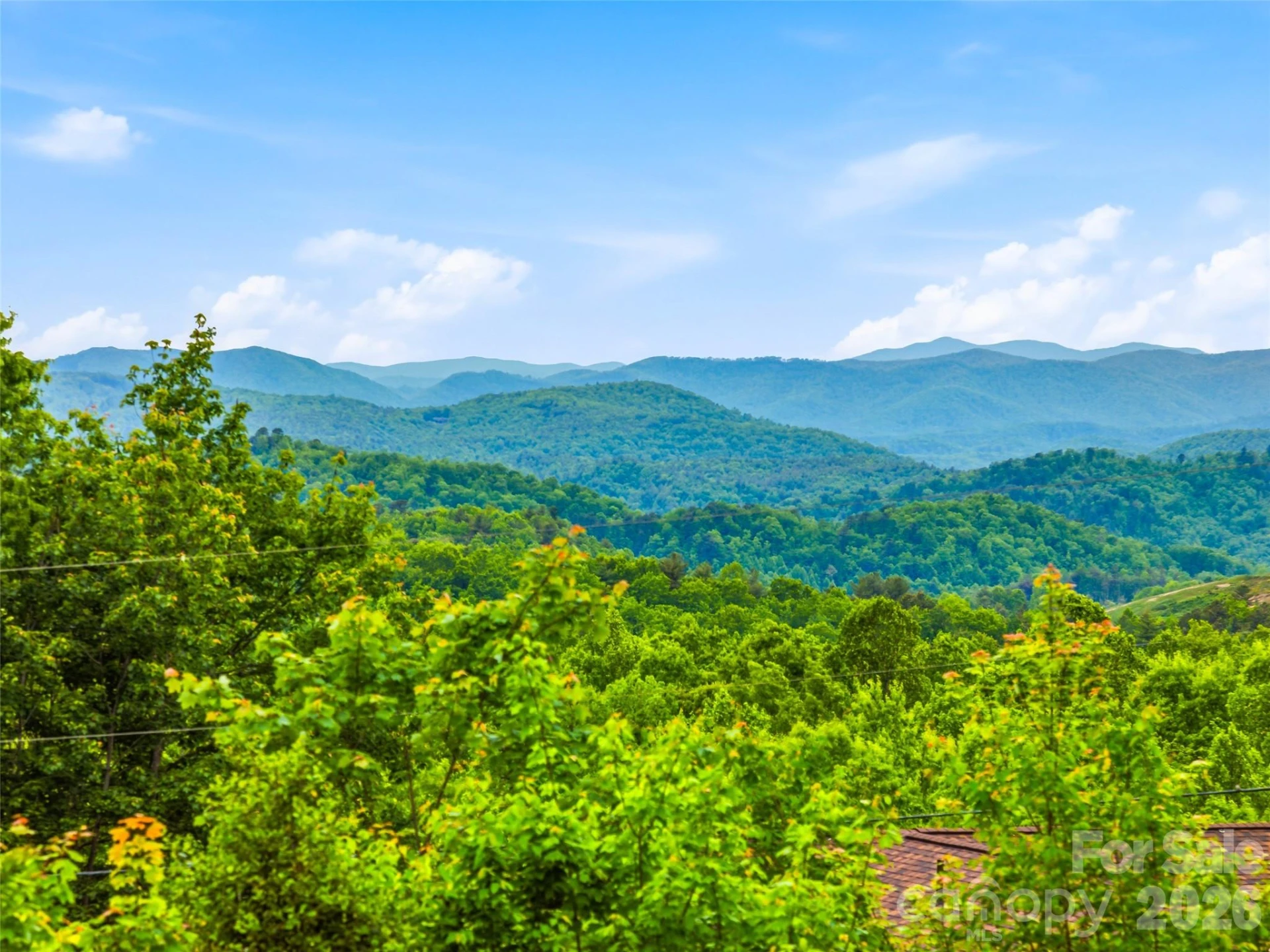 29 Panther Ridge Road - Photo 4