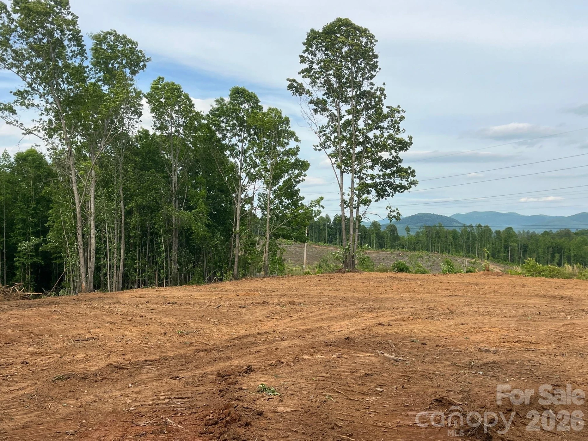 TBD Vein Mountain Road #4 - Photo 15