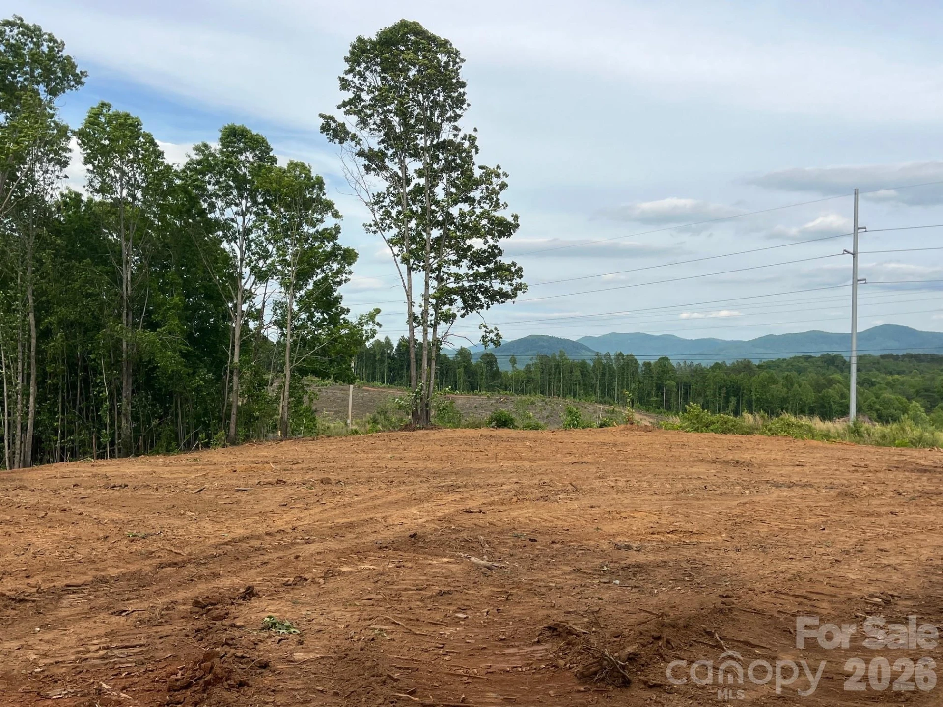 TBD Vein Mountain Road #4 - Photo 16