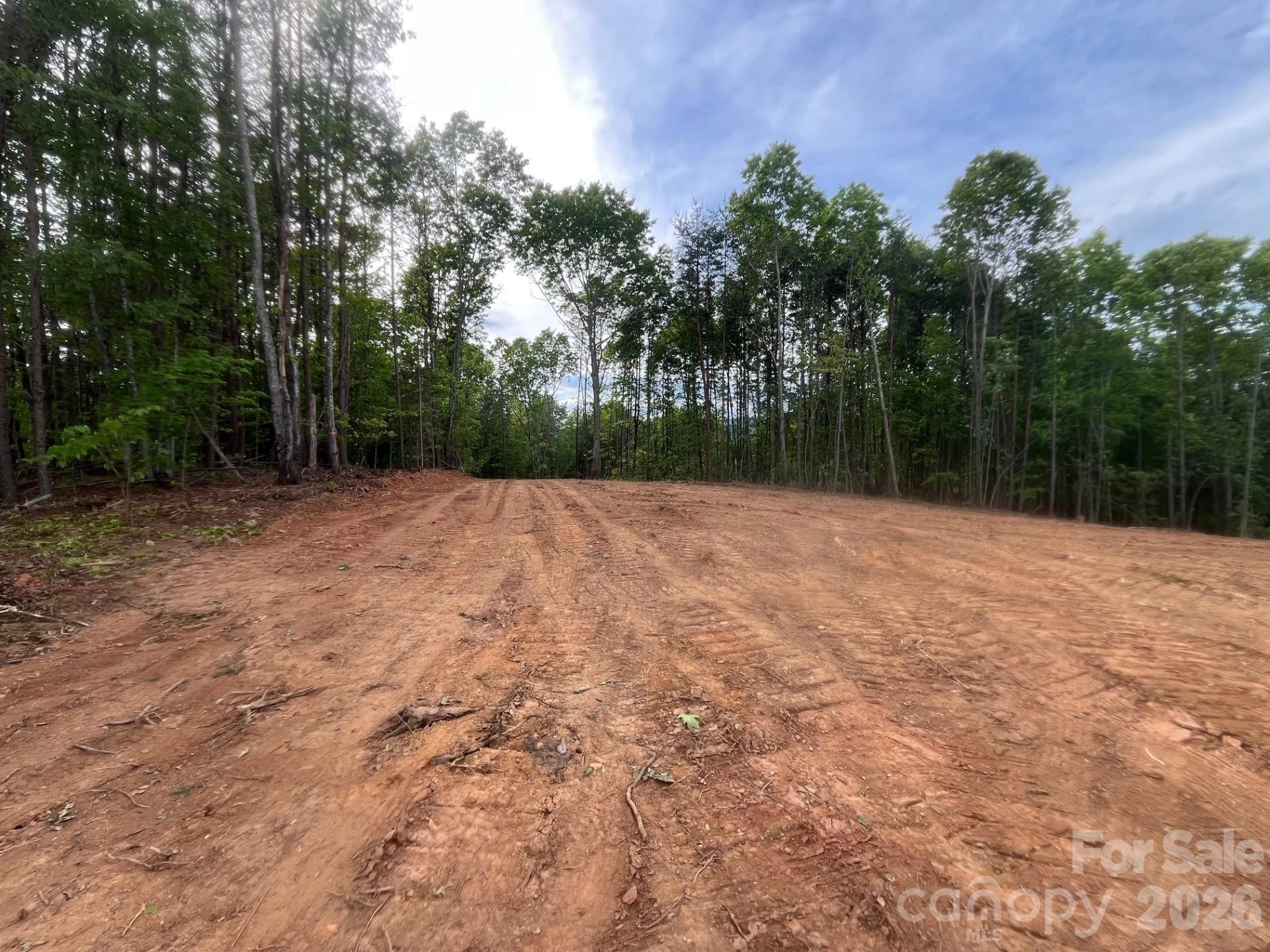 TBD Vein Mountain Road #4 - Photo 19