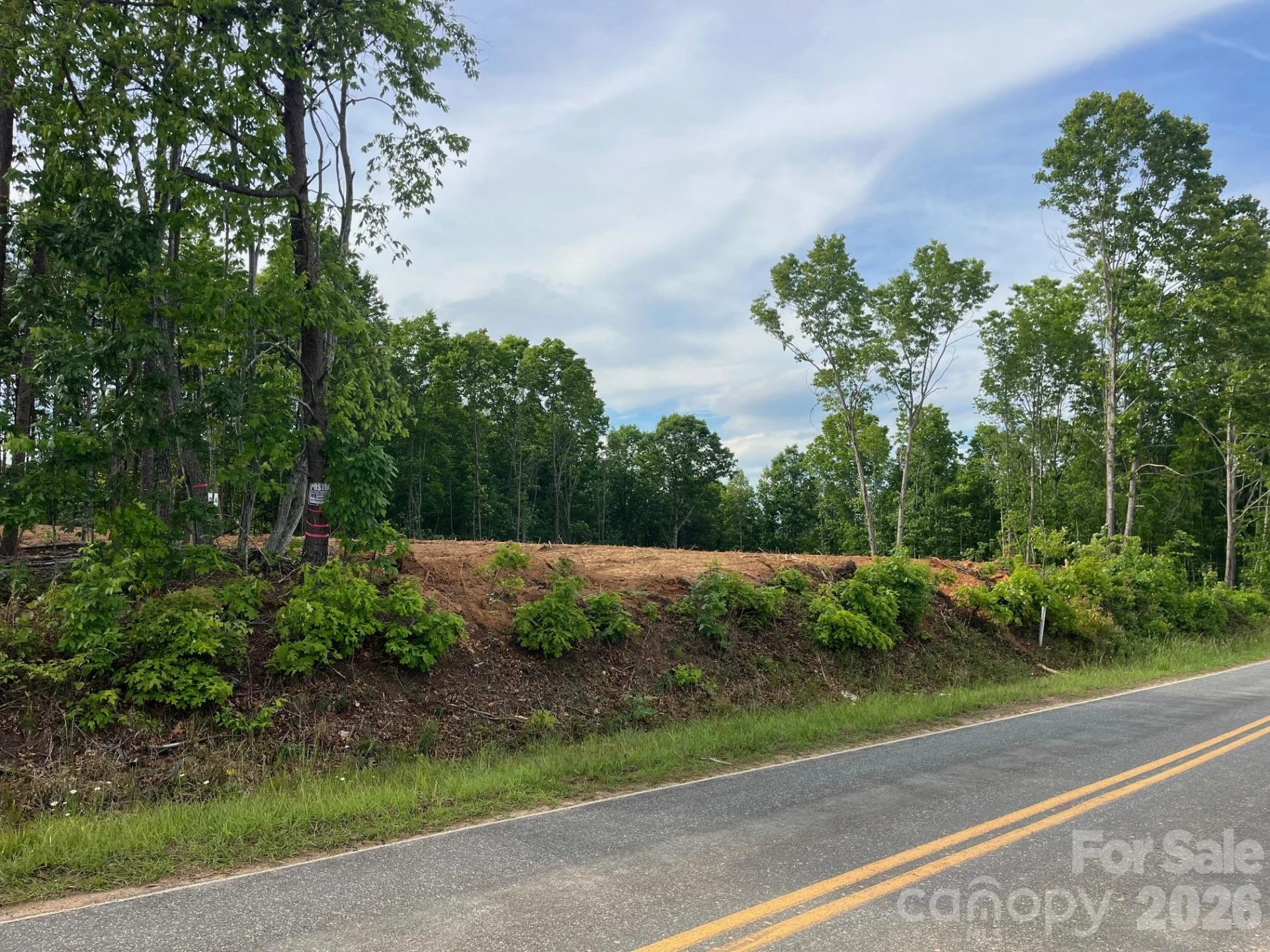 TBD Vein Mountain Road #4 - Photo 5