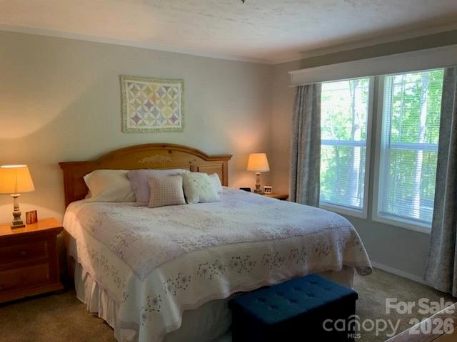 1205 Saunook Road - Photo 15