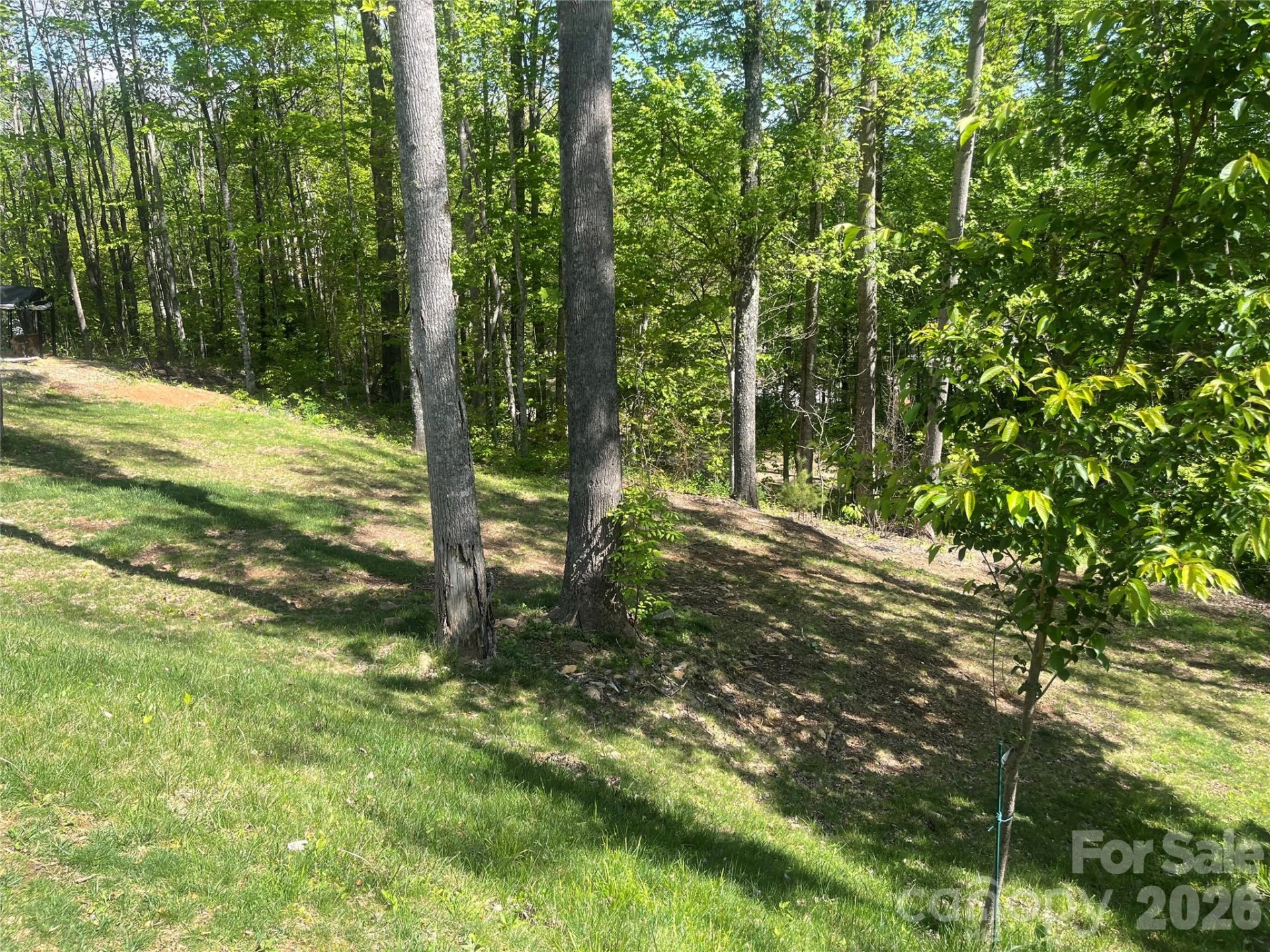 1205 Saunook Road - Photo 22