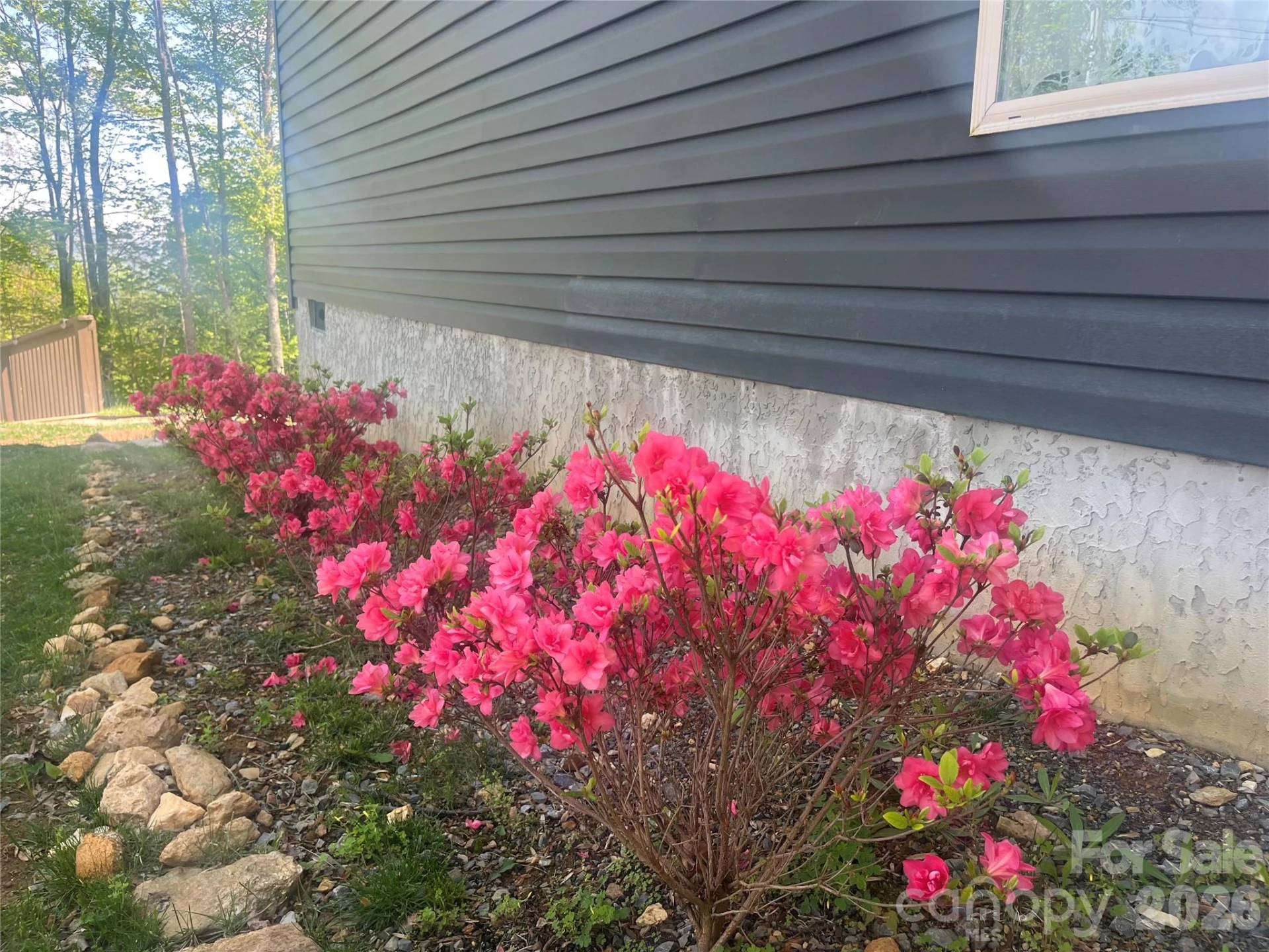 1205 Saunook Road - Photo 23
