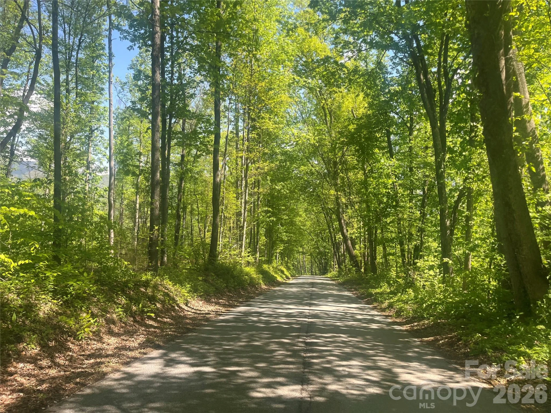1205 Saunook Road - Photo 24