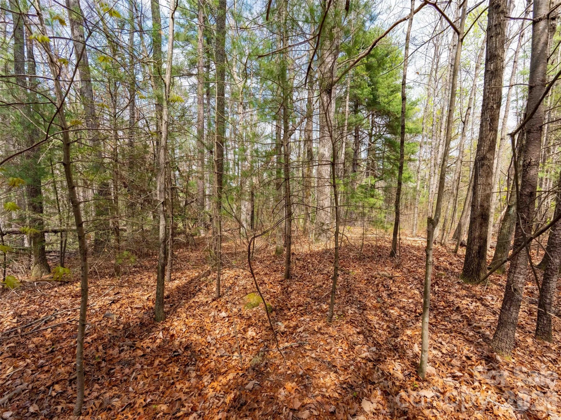 00 Hilltop Drive #13B - Photo 5