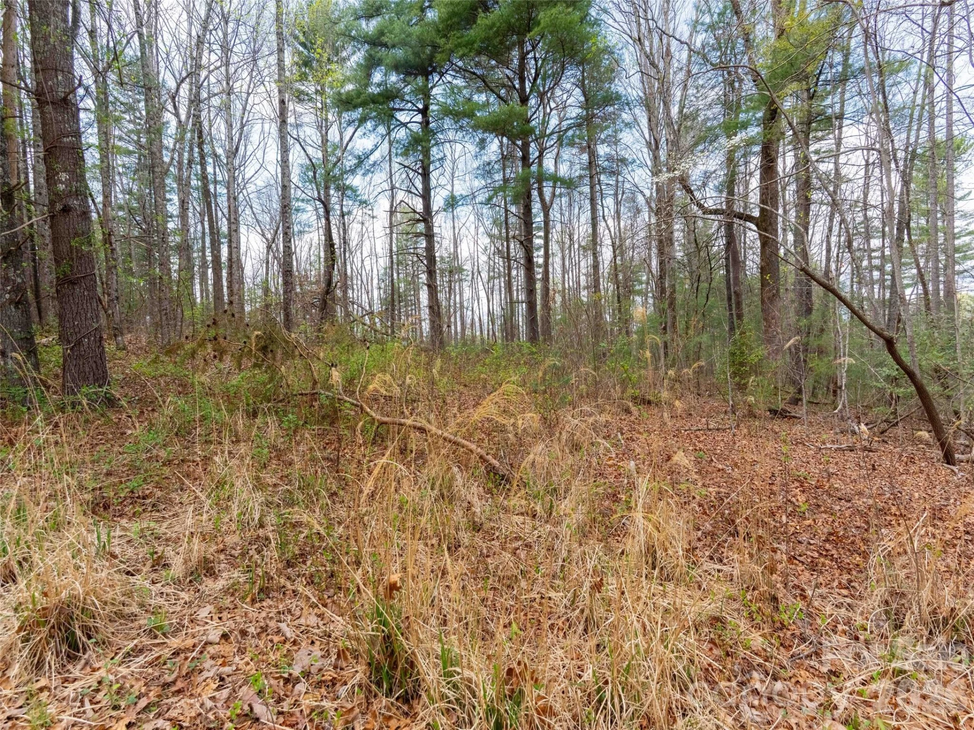00 Hilltop Drive #13B - Photo 7