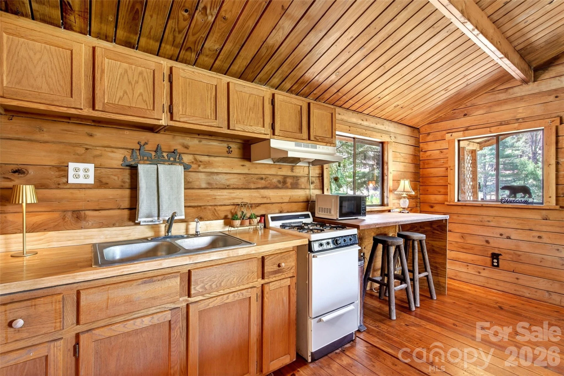 TBD Jackson Town Road - Photo 12