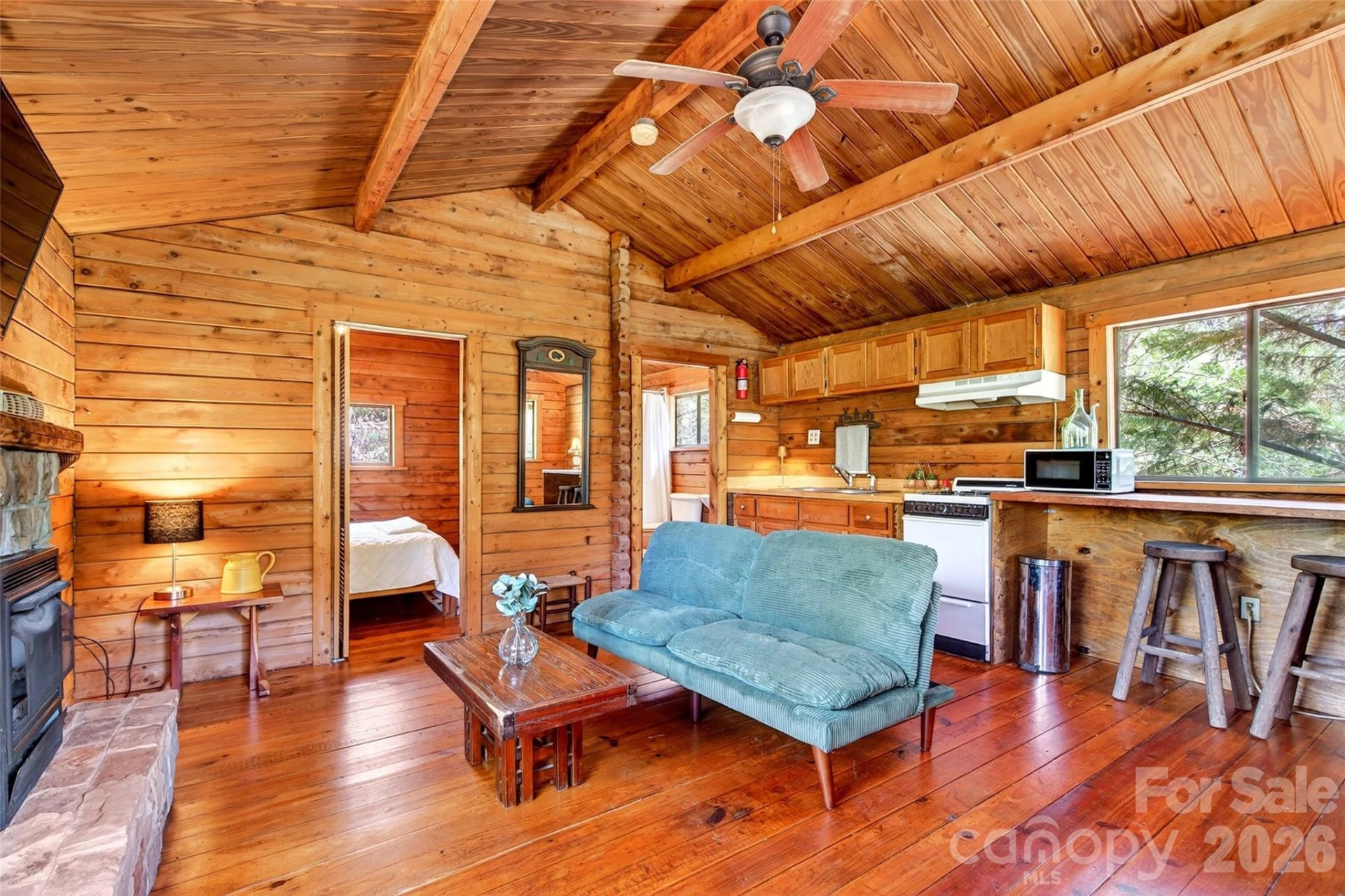 TBD Jackson Town Road - Photo 8