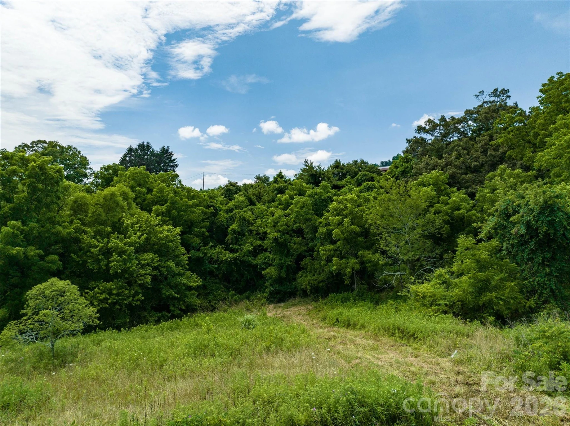99999 US 70 Highway - Photo 6