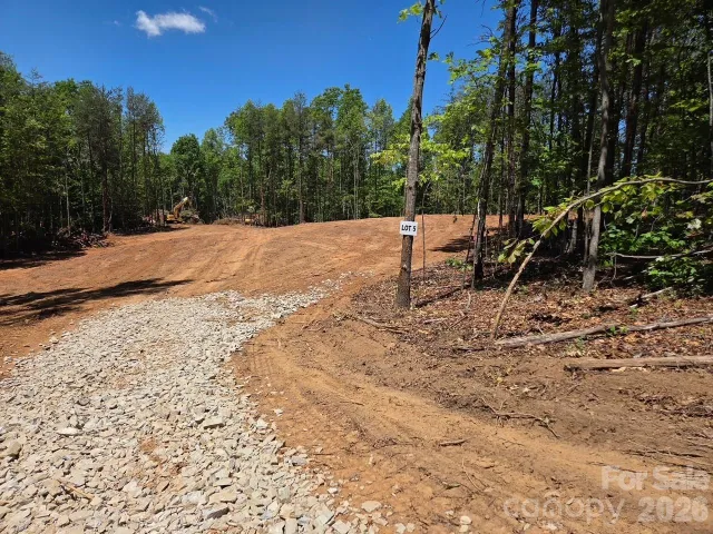 TBD Vein Mountain Road, Nebo, NC, 28761