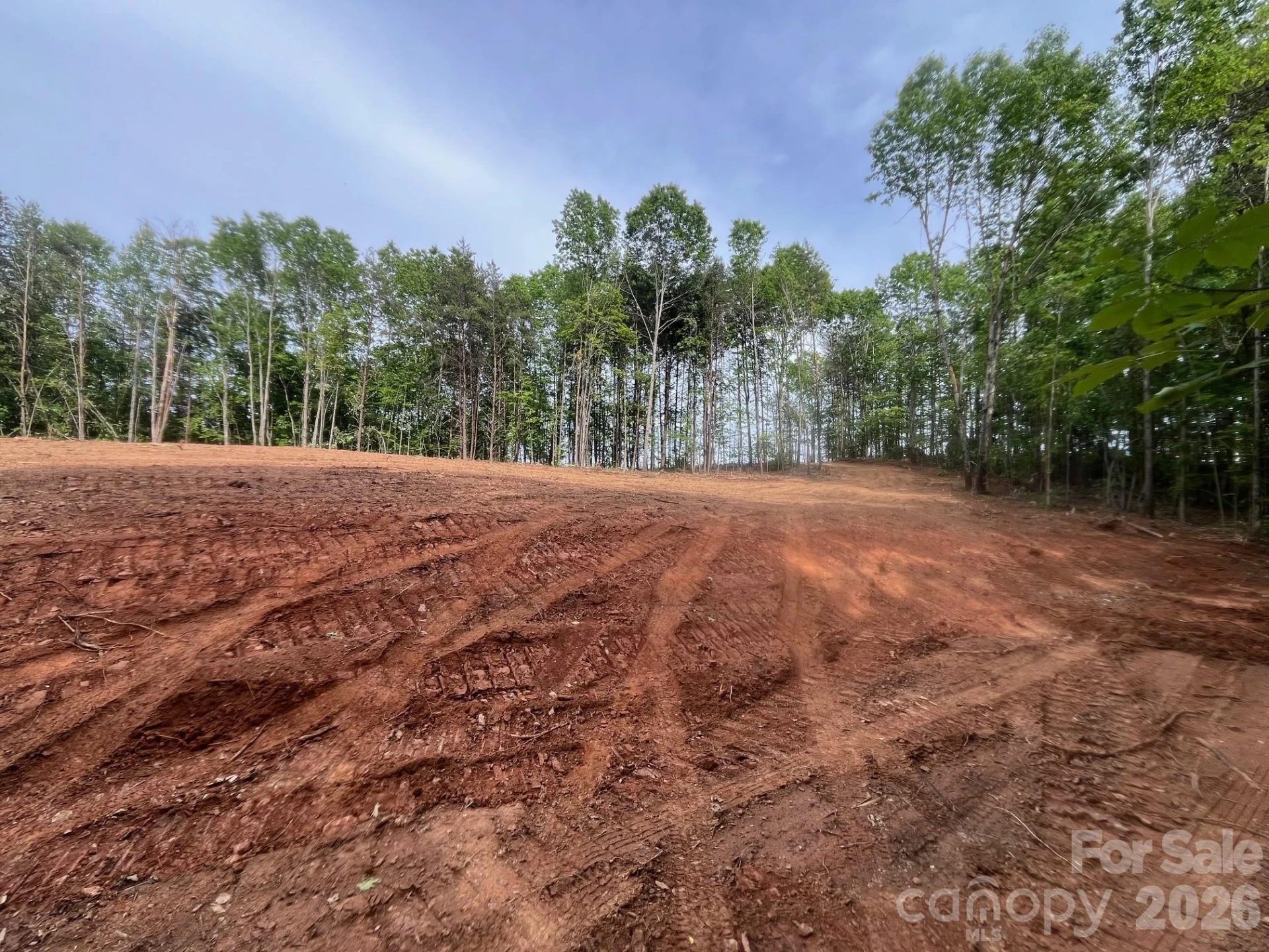 TBD Vein Mountain Road #5 - Photo 7