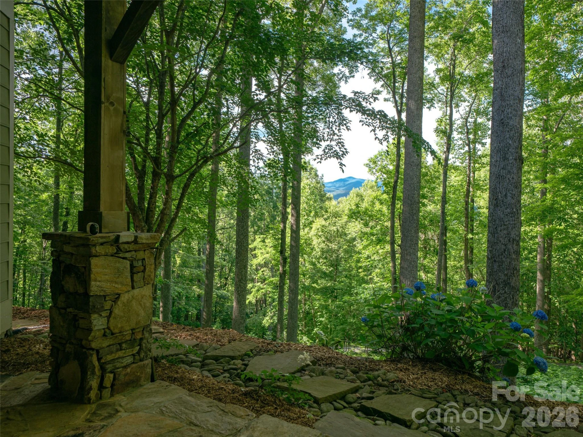71 Chestnut Hill Road - Photo 30