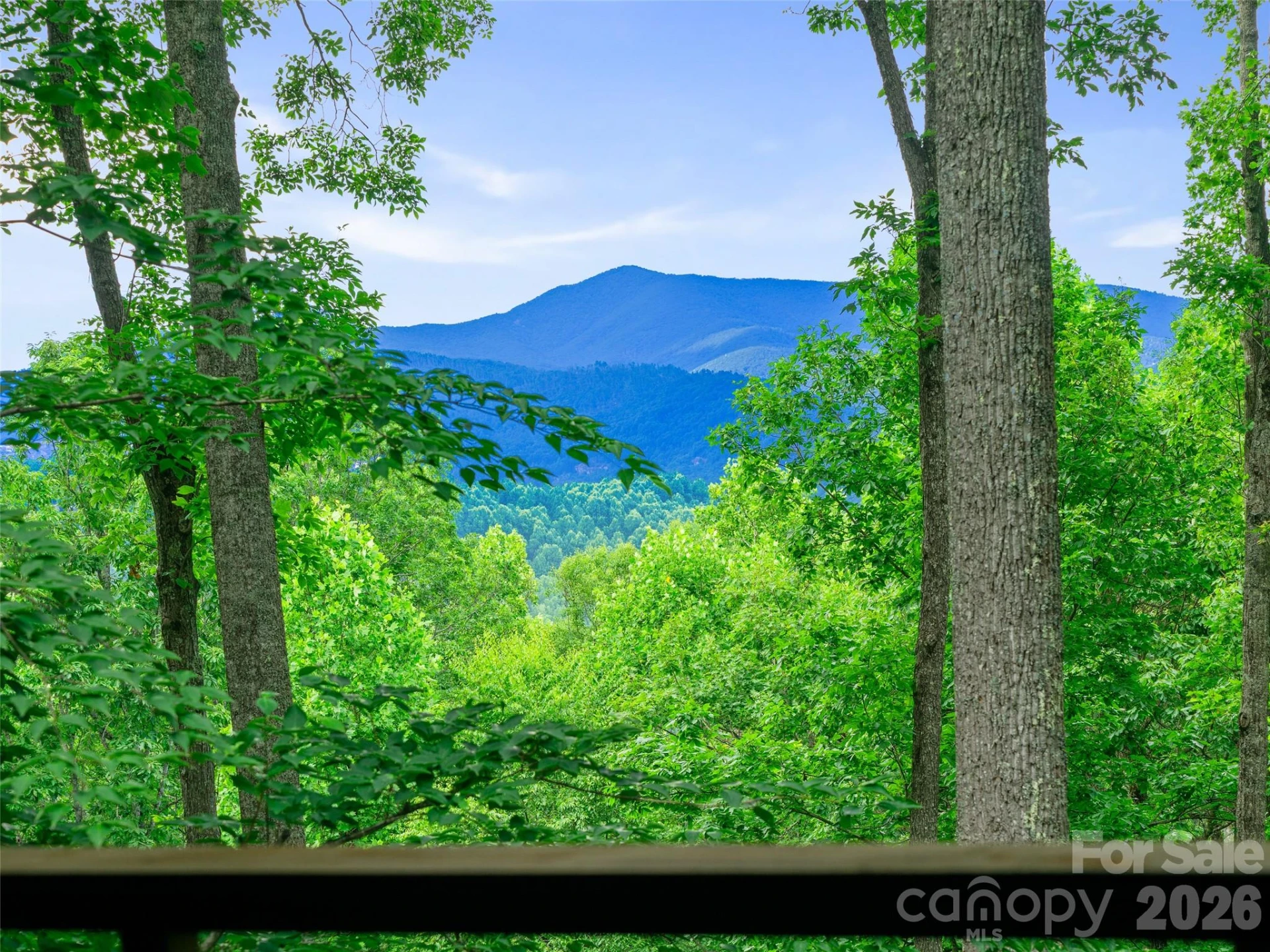 71 Chestnut Hill Road - Photo 34