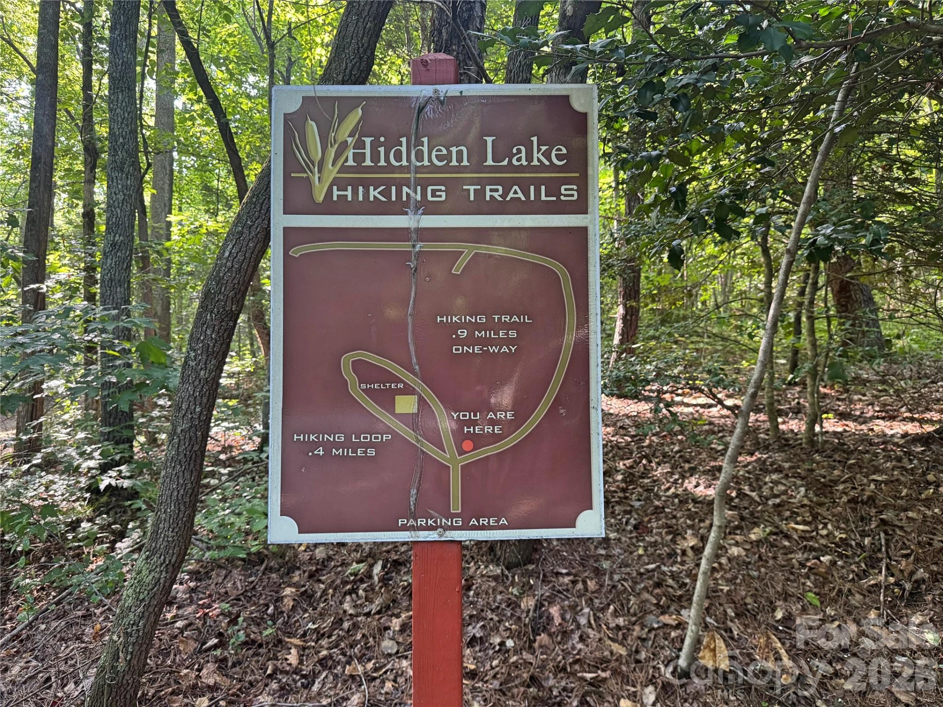584 Clear Spring Trail #61 - Photo 37