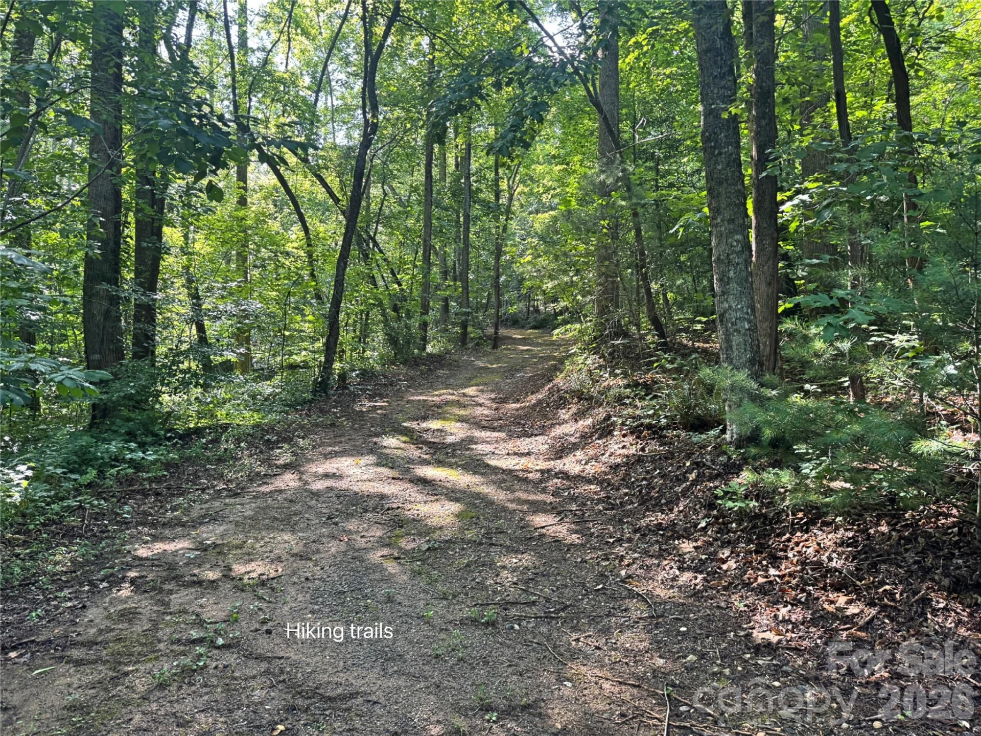 584 Clear Spring Trail #61 - Photo 38