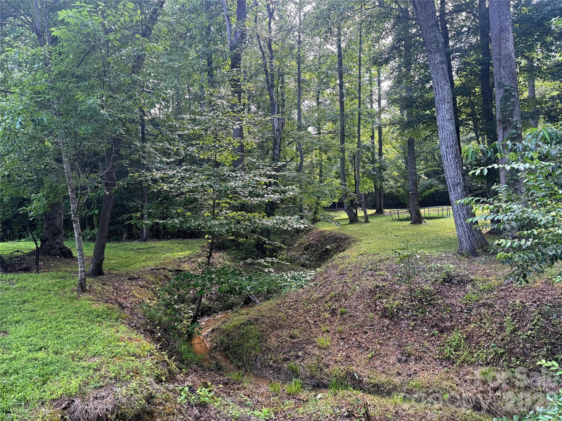 584 Clear Spring Trail #61 - Photo 39
