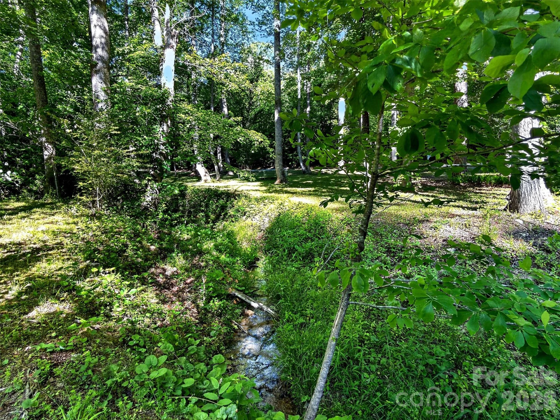 584 Clear Spring Trail #61 - Photo 11
