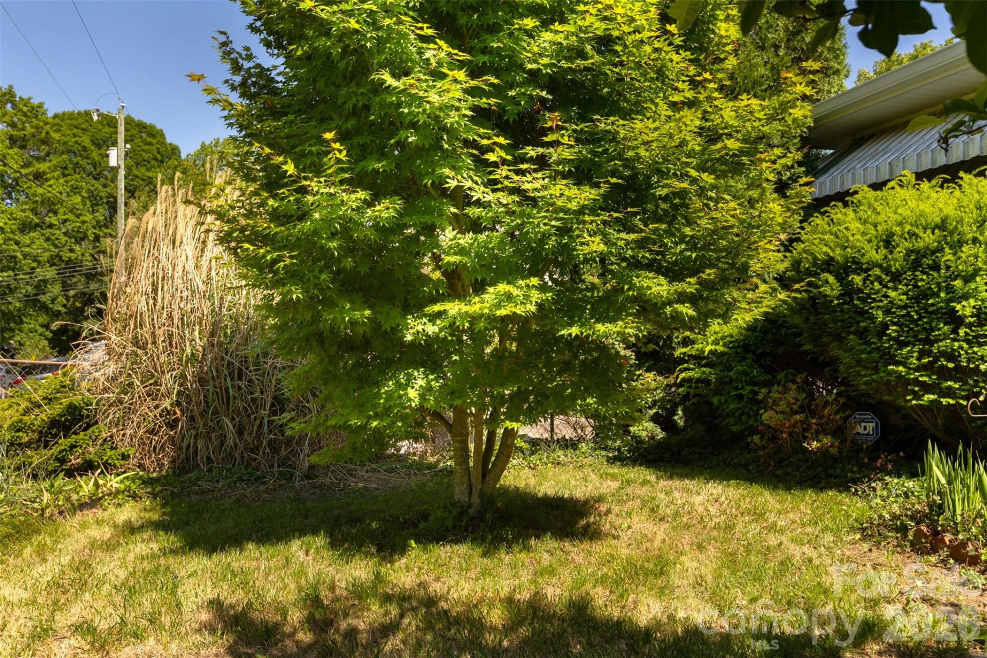 15 Walton Street - Photo 39
