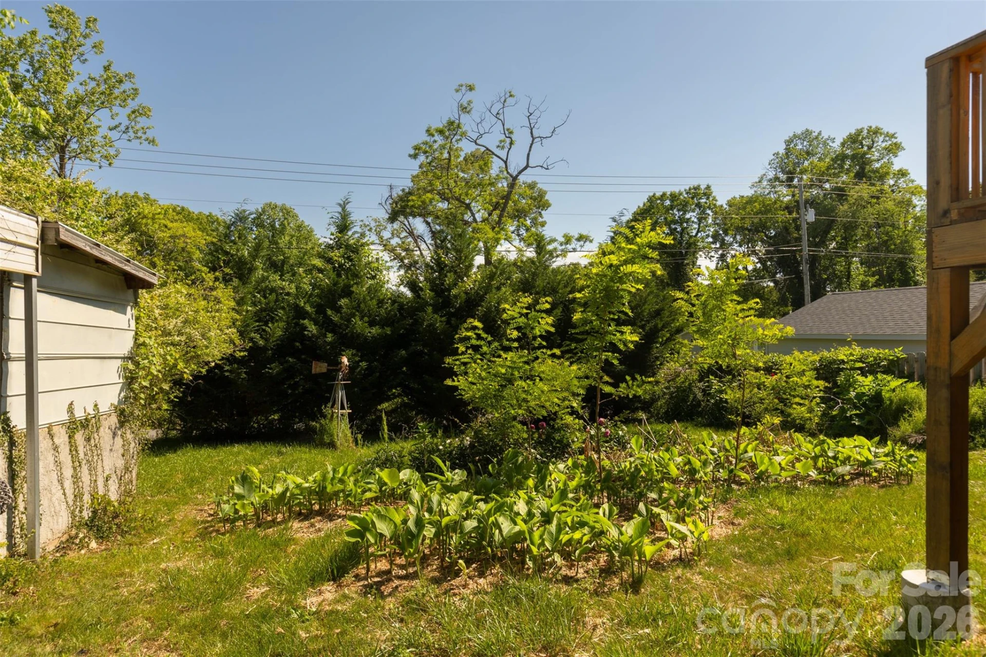 15 Walton Street - Photo 41