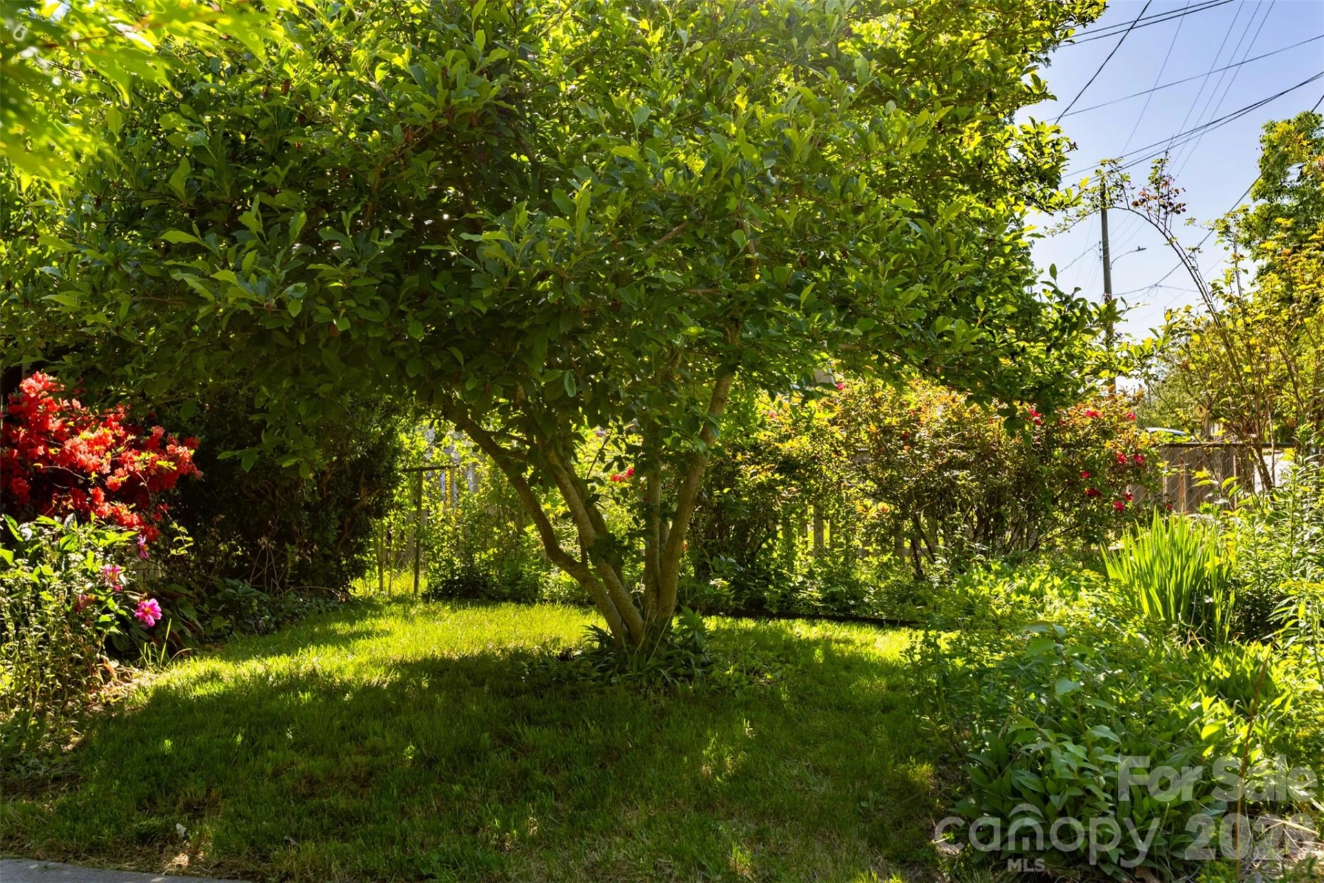 15 Walton Street - Photo 10