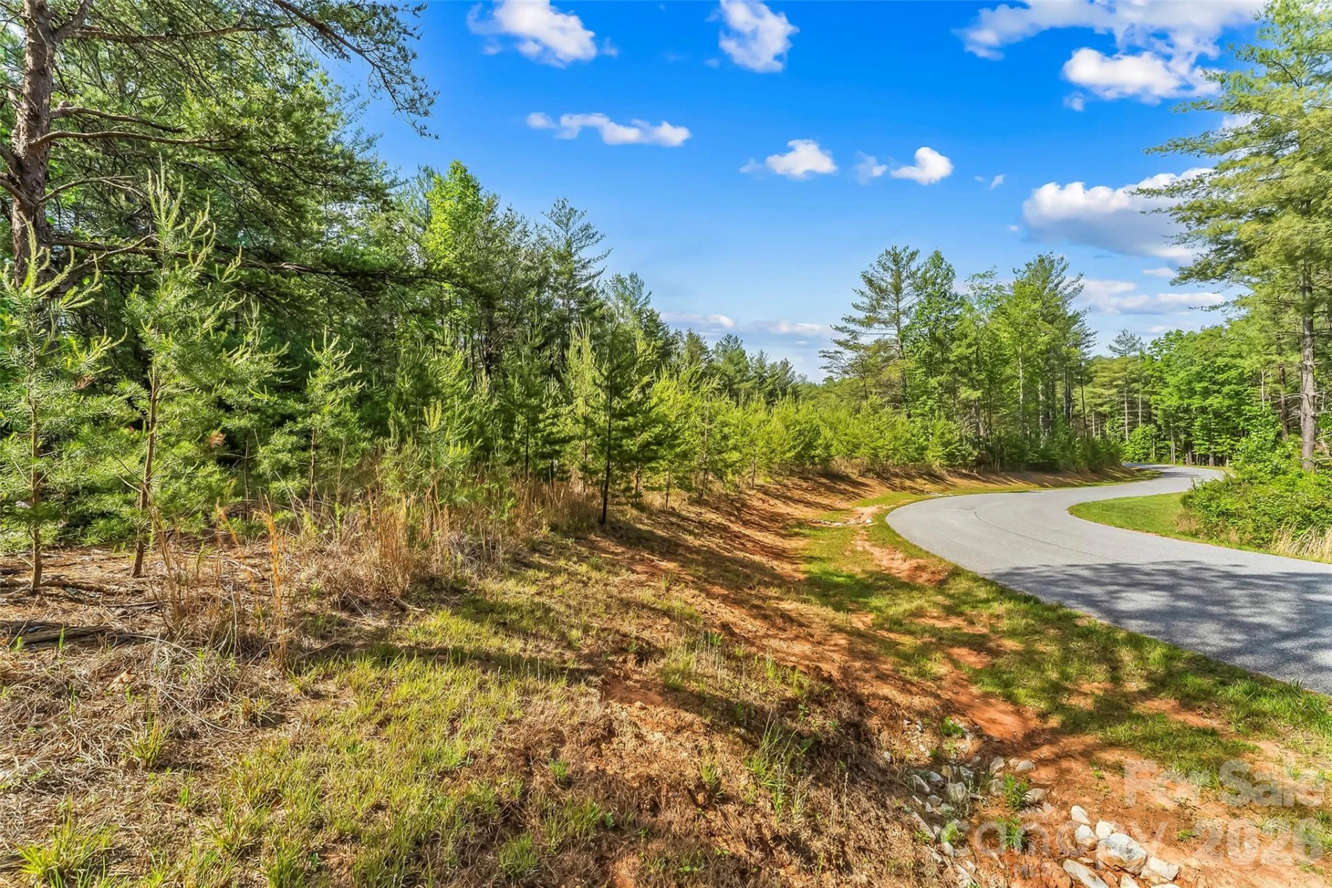 3345 Ella Marie Way #65 - Photo 4