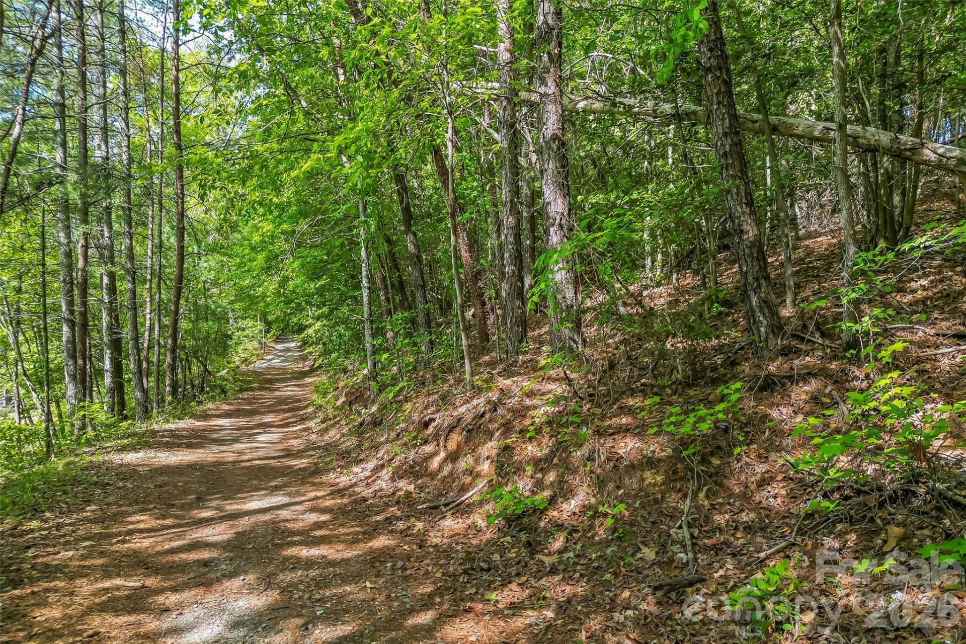 3345 Ella Marie Way #65 - Photo 8