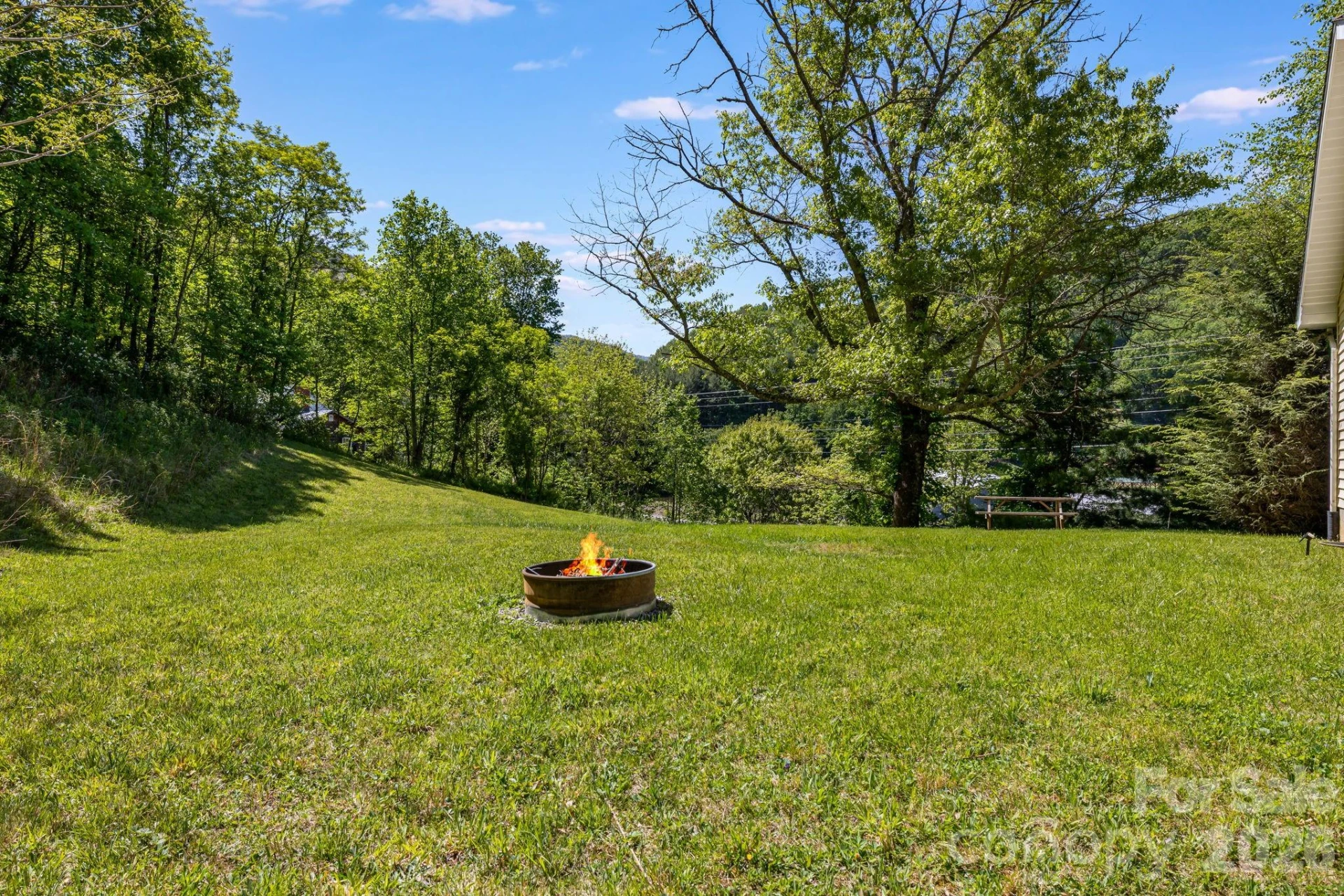 753 Bolens Creek Road - Photo 28