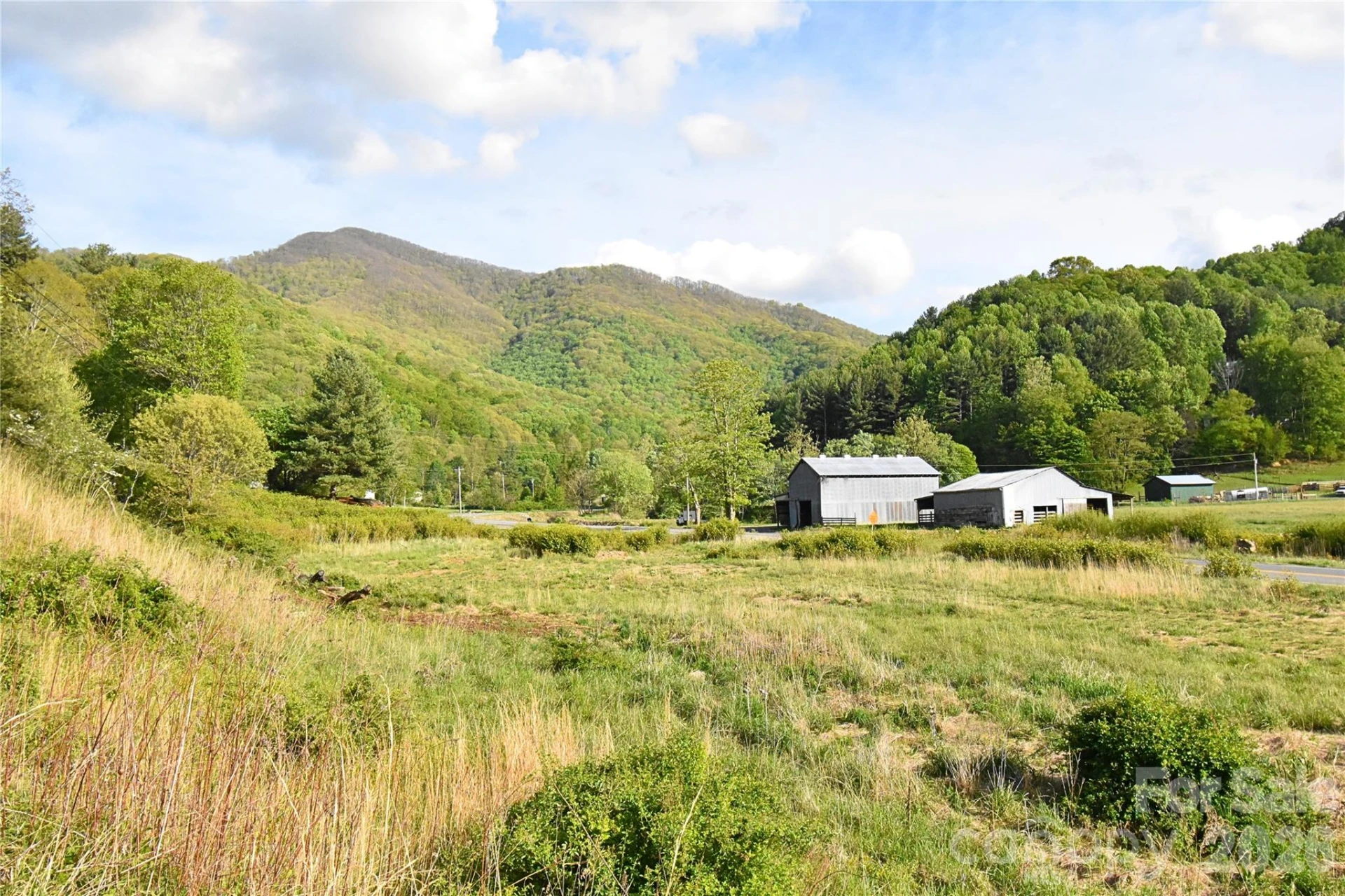 753 Bolens Creek Road - Photo 31