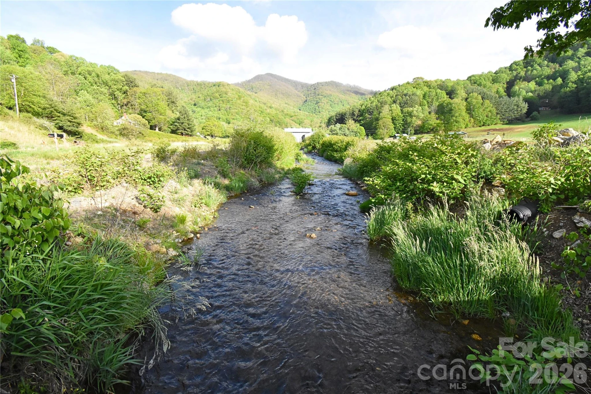 753 Bolens Creek Road - Photo 33