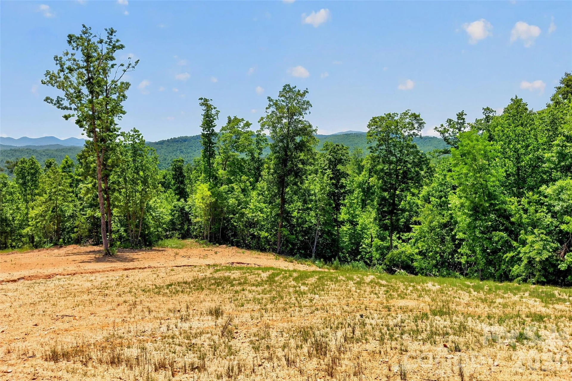 272 Randolph Drive - Photo 18