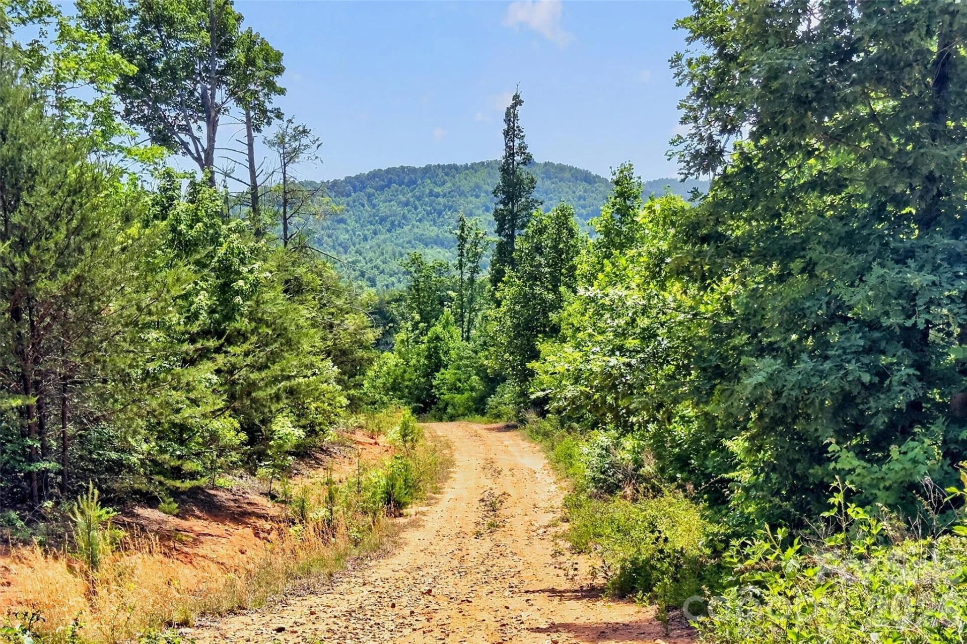 272 Randolph Drive - Photo 4