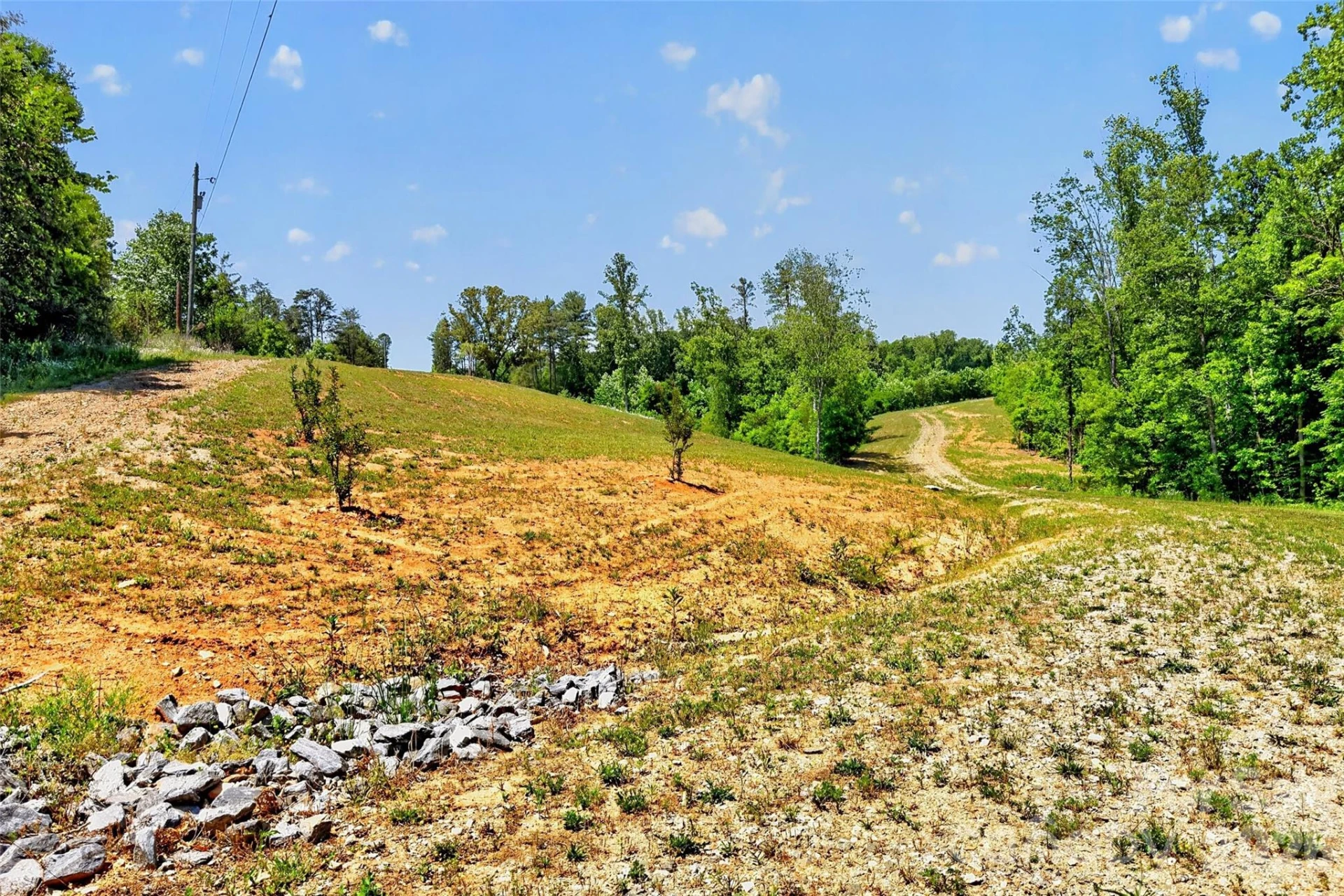 272 Randolph Drive - Photo 6